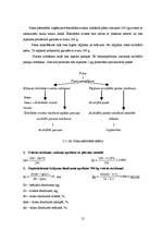Diplomdarbs 'Piena pārstrādes uzņēmuma projekts', 21.
