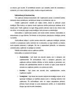 Referāts 'Inovāciju ekonomika', 10.