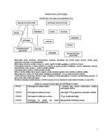 Konspekts 'Sociālā psiholoģija', 2.