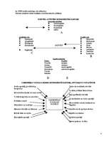 Konspekts 'Sociālā psiholoģija', 4.