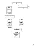 Konspekts 'Sociālā psiholoģija', 6.