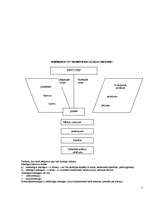 Konspekts 'Sociālā psiholoģija', 7.