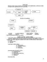 Konspekts 'Sociālā psiholoģija', 24.