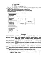 Konspekts 'Sociālā psiholoģija', 27.