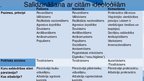 Prezentācija 'Fašisms', 4.