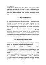 Referāts 'Reklāmas darbība un mārketinga komunikācija AS "Baltijas Izaugsmes Grupa"', 4.