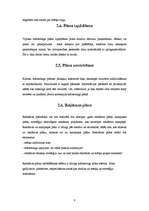 Referāts 'Reklāmas darbība un mārketinga komunikācija AS "Baltijas Izaugsmes Grupa"', 8.