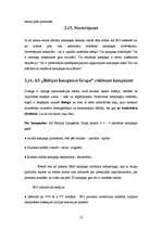 Referāts 'Reklāmas darbība un mārketinga komunikācija AS "Baltijas Izaugsmes Grupa"', 12.