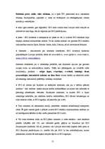 Referāts 'Reklāmas darbība un mārketinga komunikācija AS "Baltijas Izaugsmes Grupa"', 13.