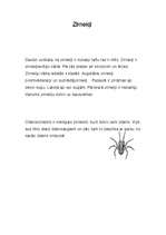 Konspekts 'Zirnekļi', 1.