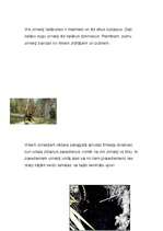 Konspekts 'Zirnekļi', 2.