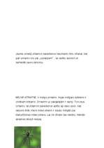 Konspekts 'Zirnekļi', 3.