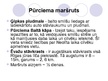 Prezentācija 'Tūrisma piedāvājums Rojā', 15.