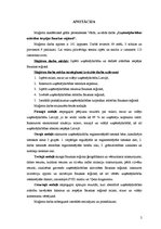 Diplomdarbs 'Uzņēmējdarbības attīstības iespējas Bauskas reģionā', 2.