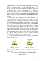 Diplomdarbs 'Uzņēmējdarbības attīstības iespējas Bauskas reģionā', 17.