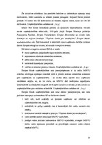 Diplomdarbs 'Uzņēmējdarbības attīstības iespējas Bauskas reģionā', 19.