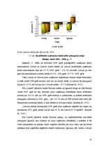 Diplomdarbs 'Uzņēmējdarbības attīstības iespējas Bauskas reģionā', 27.
