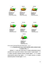 Diplomdarbs 'Uzņēmējdarbības attīstības iespējas Bauskas reģionā', 32.