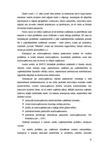 Diplomdarbs 'Uzņēmējdarbības attīstības iespējas Bauskas reģionā', 33.