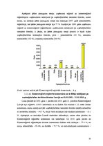 Diplomdarbs 'Uzņēmējdarbības attīstības iespējas Bauskas reģionā', 38.