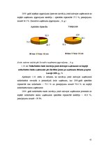 Diplomdarbs 'Uzņēmējdarbības attīstības iespējas Bauskas reģionā', 41.