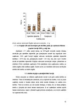 Diplomdarbs 'Uzņēmējdarbības attīstības iespējas Bauskas reģionā', 42.