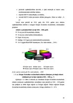 Diplomdarbs 'Uzņēmējdarbības attīstības iespējas Bauskas reģionā', 44.