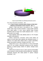 Diplomdarbs 'Uzņēmējdarbības attīstības iespējas Bauskas reģionā', 45.