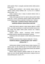 Diplomdarbs 'Uzņēmējdarbības attīstības iespējas Bauskas reģionā', 47.