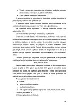 Diplomdarbs 'Uzņēmējdarbības attīstības iespējas Bauskas reģionā', 68.