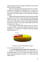 Diplomdarbs 'Uzņēmējdarbības attīstības iespējas Bauskas reģionā', 96.