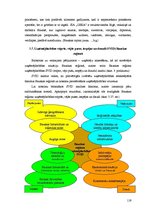 Diplomdarbs 'Uzņēmējdarbības attīstības iespējas Bauskas reģionā', 119.
