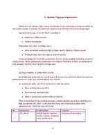 Biznesa plāns 'Biznesa plāns', 8.