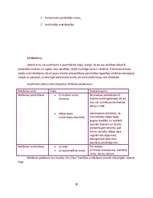 Biznesa plāns 'Biznesa plāns', 10.