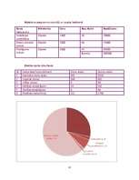 Biznesa plāns 'Biznesa plāns', 12.