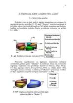 Referāts 'Uzņēmuma "Dzintars" mārketinga vides izpēte', 6.