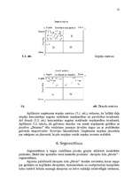 Referāts 'Uzņēmuma "Dzintars" mārketinga vides izpēte', 22.