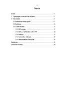 Referāts 'Ilgtspējīgas tautas ekonomiskās problēmas Latvijā', 2.