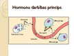 Prezentācija 'Hormonu darbības principi. Dziedzeru veidi', 10.
