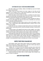 Referāts 'Gundega Repše "Ēnu apokrifs"', 4.