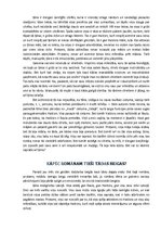 Referāts 'Gundega Repše "Ēnu apokrifs"', 5.