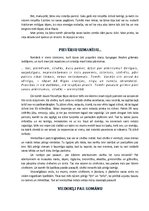 Referāts 'Gundega Repše "Ēnu apokrifs"', 6.