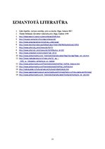 Referāts 'Konventa tipa pilis Latvijas teritorijā', 13.