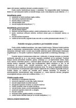 Referāts 'Bronhiālā astma', 4.