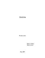 Referāts 'Medicīna', 1.