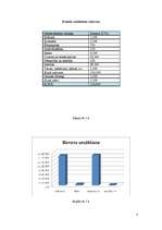 Biznesa plāns 'Biznesa plāns restorānam', 7.