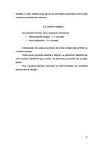 Biznesa plāns 'Biznesa plāns restorānam', 19.