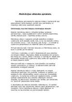 Paraugs 'Lietišķie raksti', 2.