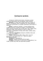 Paraugs 'Lietišķie raksti', 4.