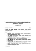 Paraugs 'Lietišķie raksti', 7.